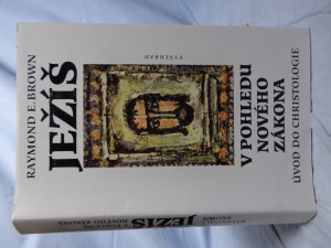 náhled knihy - Ježíš v pohledu Nového zákona: úvod do christologie