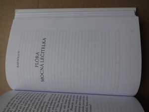 náhled knihy - 