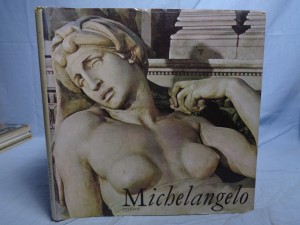 náhled knihy - Michelangelo