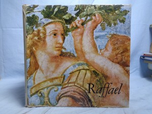 náhled knihy - Raffael 