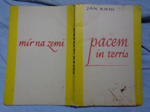 náhled knihy - Pacem in terris = Mír na zemi: okružní list svatého Otce Jana XXIII. o míru mezi národy a o tom, jak ho nastolit v pravdě, spravedlnosti, lásce a svobodě, Řím, 11. dubna 1963 Mír na zem