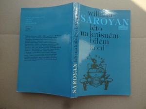 náhled knihy - Léto na krásném bílém koni
