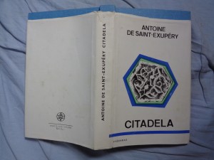 náhled knihy - Citadela