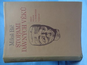 náhled knihy - Stopami dávných věků: mezi Nilem a Tigridem