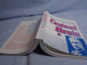 náhled knihy - Cestami života I.