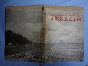 náhled knihy - Terezín