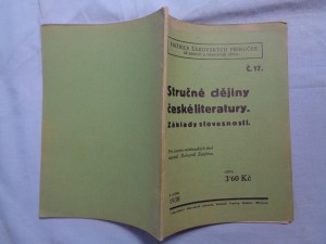náhled knihy - Stručné dějiny české literatury a základy slovesnosti