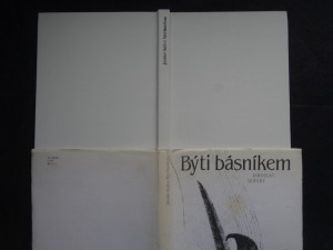 náhled knihy - Býti básníkem