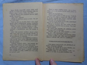 náhled knihy - 