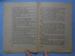 náhled knihy - 