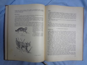 náhled knihy - 