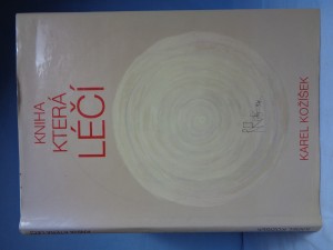 náhled knihy - Kniha která léčí