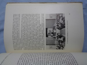 náhled knihy - 