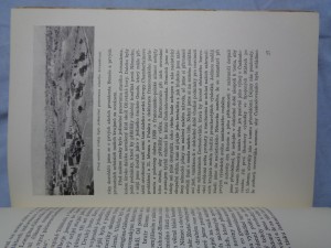 náhled knihy - 