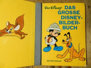 náhled knihy - Das Grosse Disney Bilder Buch