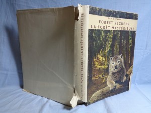 náhled knihy - Forest Secrets 