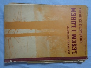 náhled knihy - Lesem i luhem: obrázky z přírody: první kniha povídek