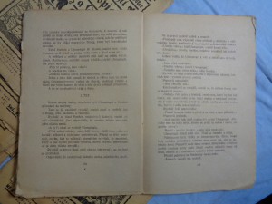 náhled knihy - 
