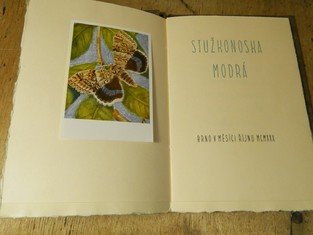 náhled knihy - Stužkonoska modrá