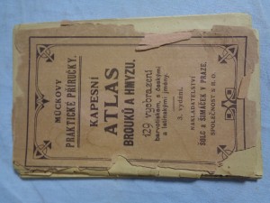 náhled knihy - Kapesní atlas brouků a hmyzu