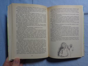 náhled knihy - 