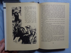 náhled knihy - 