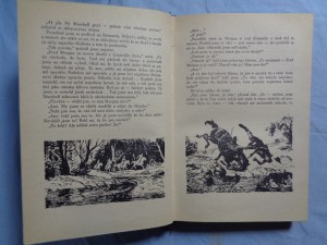 náhled knihy - 