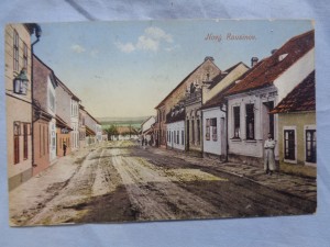 náhled knihy - Nový Rousinov.