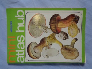 náhled knihy - Mini atlas hub 