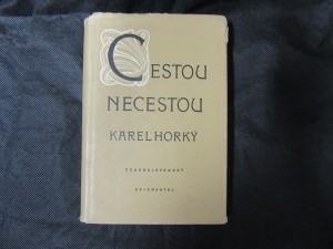 náhled knihy - Cestou necestou