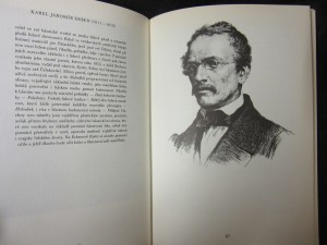 náhled knihy - 