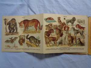 náhled knihy - Kapesní atlas ssavců