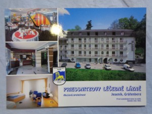 náhled knihy -  Priessnitzovy léčebné lázně (Jeseník - lázně, Lázeňský léčebný dům J. Ripper, jídelna, recepce, dvojlůžkový pokoj)