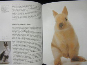 náhled knihy - 