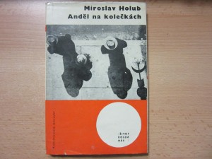 náhled knihy - Anděl na kolečkách : poloreportáž z USA