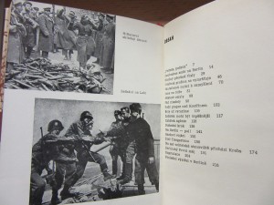 náhled knihy - 