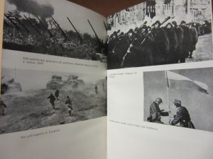 náhled knihy - 