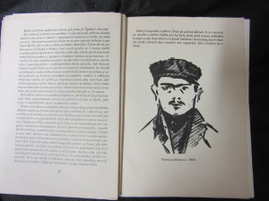 náhled knihy - 