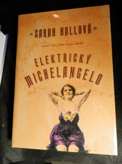 náhled knihy - Elektrický Michelangelo : román o lásce, ztrátě a umění tetování
