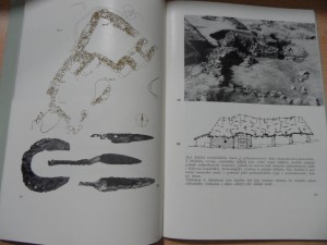 náhled knihy - 