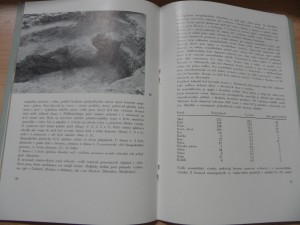 náhled knihy - 