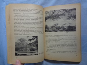 náhled knihy - 