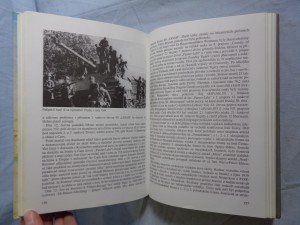 náhled knihy - 