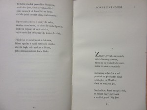 náhled knihy - 