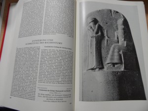 náhled knihy - 
