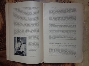 náhled knihy - 