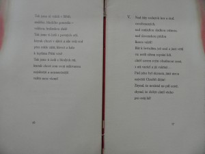 náhled knihy -