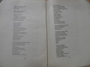 náhled knihy - 