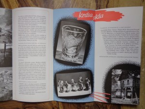 náhled knihy - 