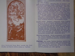 náhled knihy - 